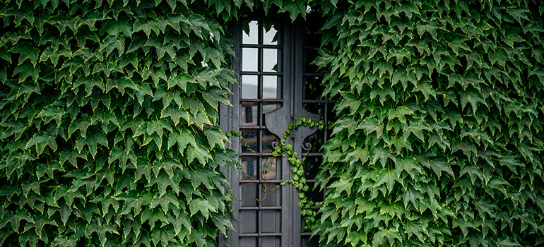 Garden Gate Repair in Stuart, FL